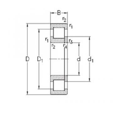 65 mm x 120 mm x 23 mm  NKE NUP213-E-TVP3 محامل أسطوانية