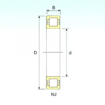 170 mm x 310 mm x 52 mm  ISB NUP 234 محامل أسطوانية