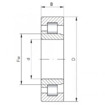 1180 mm x 1540 mm x 206 mm  ISO NJ29/1180 محامل أسطوانية