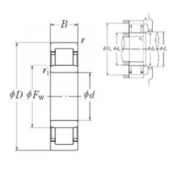 35 mm x 62 mm x 14 mm  NSK NU1007 محامل أسطوانية