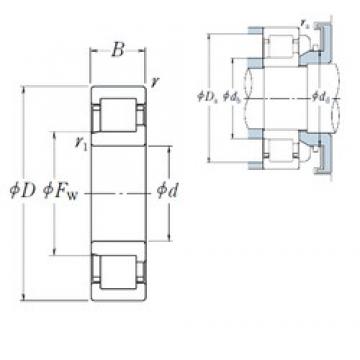 50 mm x 80 mm x 16 mm  NSK NJ1010 محامل أسطوانية