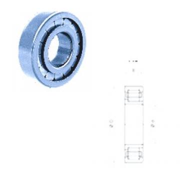 50 mm x 90 mm x 20 mm  Fersa NJ210FM/C3 محامل أسطوانية