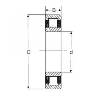 35 mm x 80 mm x 31 mm  SIGMA NU 2307 محامل أسطوانية