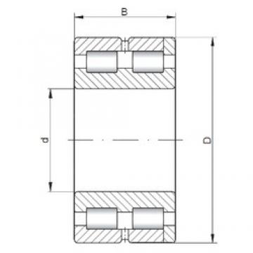 240 mm x 320 mm x 80 mm  ISO SL014948 محامل أسطوانية