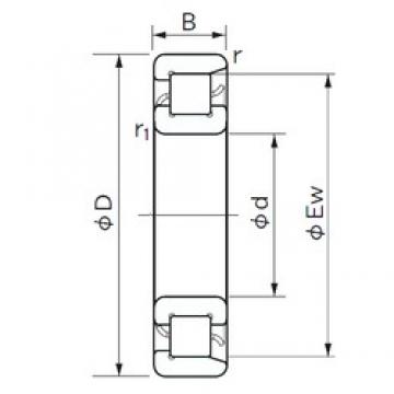 105 mm x 190 mm x 36 mm  NACHI NF 221 محامل أسطوانية