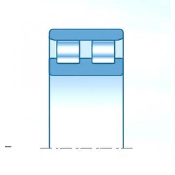 150 mm x 225 mm x 56 mm  NTN NN3030C1NAP4 محامل أسطوانية