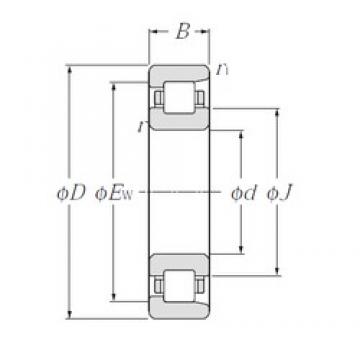 50 mm x 110 mm x 40 mm  CYSD NF2310 محامل أسطوانية