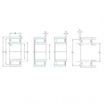 100 mm x 180 mm x 46 mm  SKF C2220 محامل أسطوانية