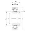 45 mm x 120 mm x 29 mm  ISO NH409 محامل أسطوانية