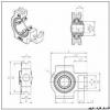 24,000 mm x 50,000 mm x 19,000 mm  NTN NK30.5X50X17+IRZ24X34X19 محامل إبرة الأسطوانة