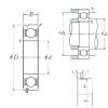 25 mm x 52 mm x 15 mm  NSK 6205N الكرات الأخدود العميق