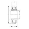 10 mm x 30 mm x 16,4 mm  Timken 200KRR3 الكرات الأخدود العميق