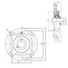 75 mm x 160 mm x 77,8 mm  ISO UCFC215 تحمل وحدات