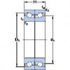 SKF BTM 170 AM/P4CDB فحوى الكرات