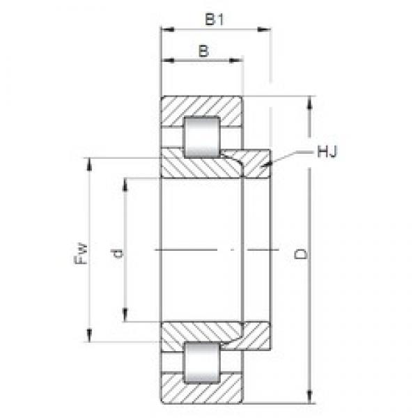 45 mm x 120 mm x 29 mm  ISO NH409 محامل أسطوانية #3 image