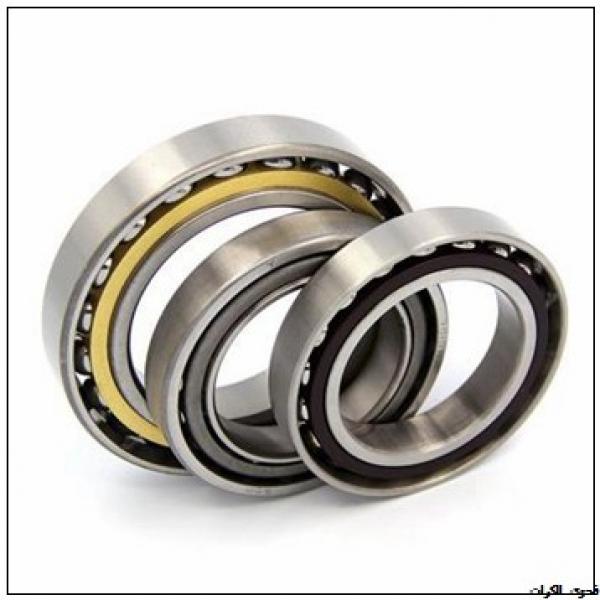 35 mm x 80 mm x 21 mm  SKF NU 307 ECPH فحوى الكرات #1 image