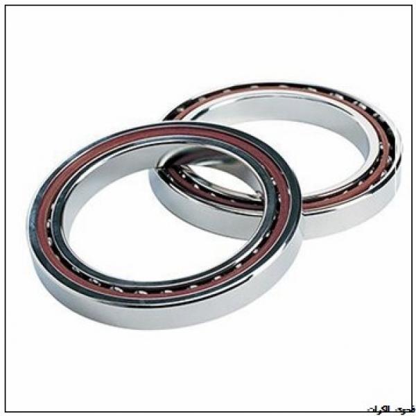 120 mm x 215 mm x 58 mm  SKF NU 2224 ECJ فحوى الكرات #1 image