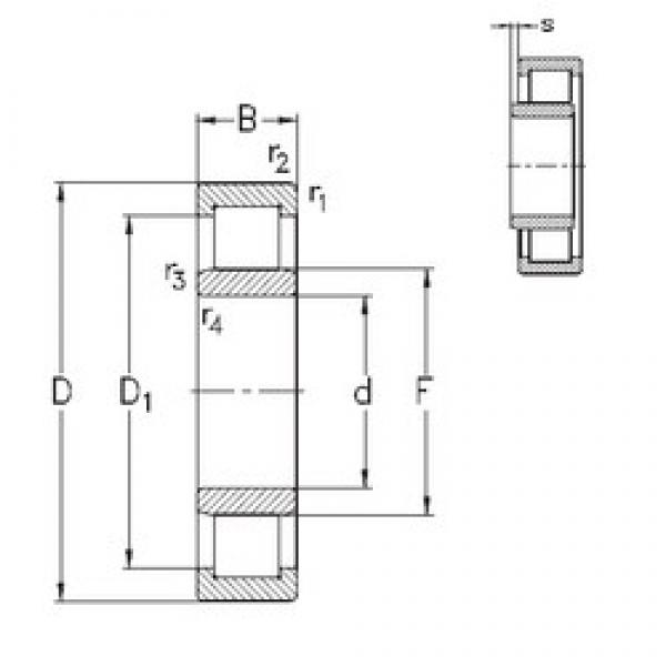 220 mm x 400 mm x 108 mm  NKE NU2244-E-MA6 محامل أسطوانية #3 image