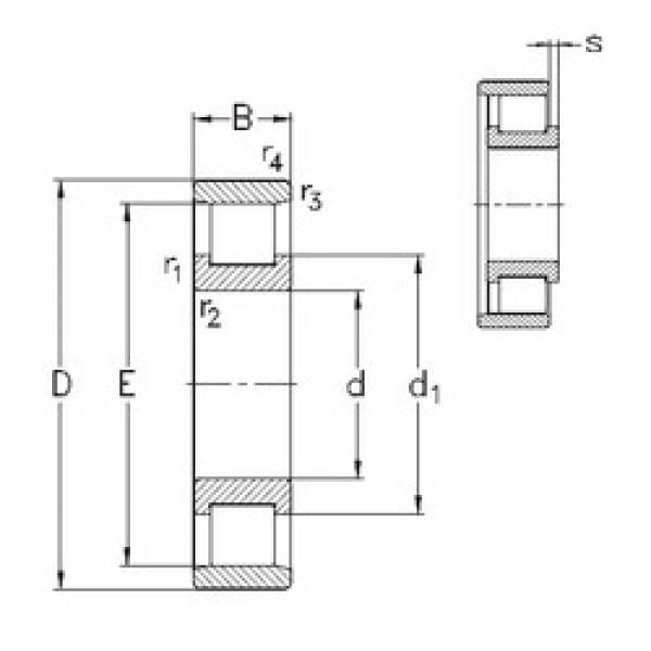 110 mm x 240 mm x 50 mm  NKE N322-E-M6 محامل أسطوانية #3 image