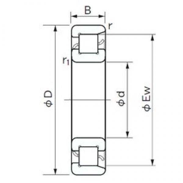 105 mm x 190 mm x 36 mm  NACHI NF 221 محامل أسطوانية #3 image