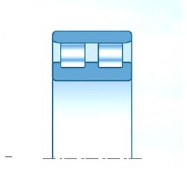 150 mm x 225 mm x 56 mm  NTN NN3030C1NAP4 محامل أسطوانية #3 image