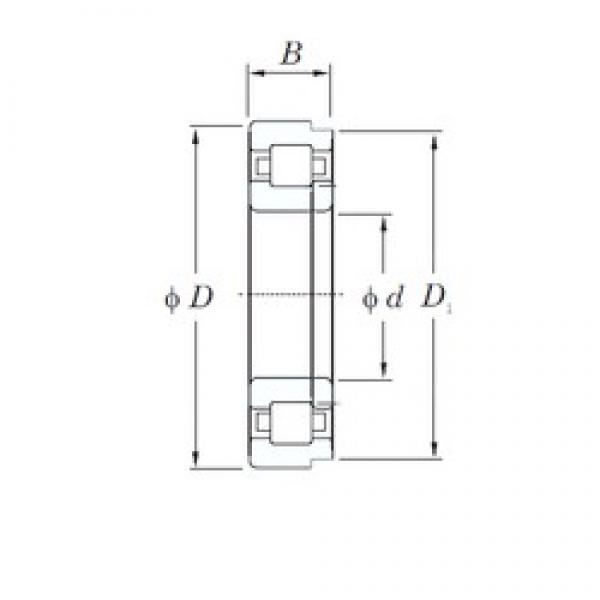 65 mm x 120 mm x 23 mm  KOYO NUP213R محامل أسطوانية #3 image