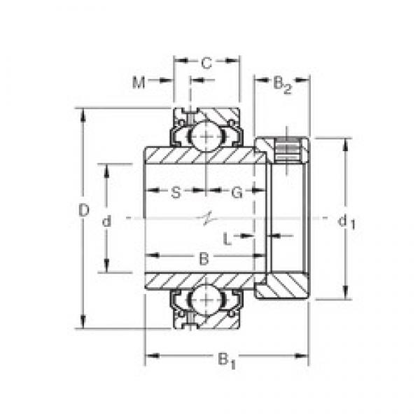 19.05 mm x 47 mm x 34,13 mm  Timken G1012KLL الكرات الأخدود العميق #3 image