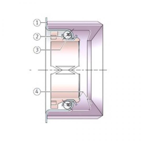 INA F-213334.5 الاتصال الكرات الزاوي #3 image