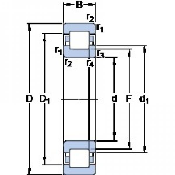 25 mm x 62 mm x 24 mm  SKF NUP 2305 ECML فحوى الكرات #3 image